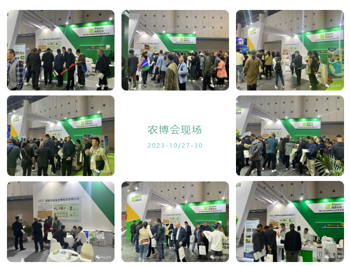 1703571239258360.png image.png