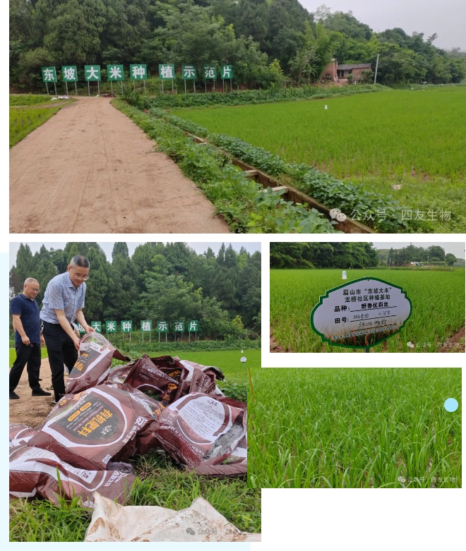 1724036180401729.png 微信截圖_20240819105529.png